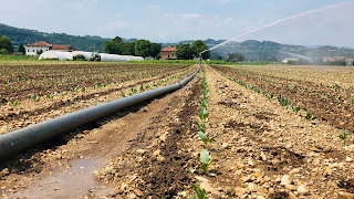 Azienda Agricola Dalla Pozza Marco