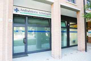 Ambulatori Veterinari Modenesi San Felice