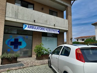Ambulatorio Veterinario Rabolini Aurora