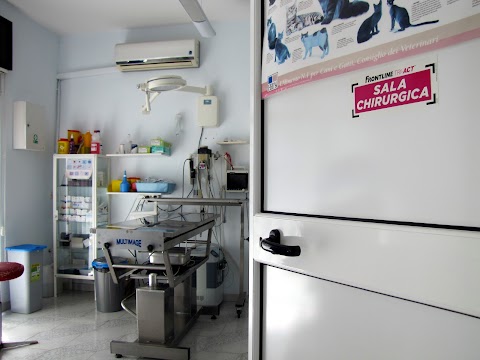 Ambulatorio Veterinario Dott. Ricci Nicola - Clinica Alto Salento