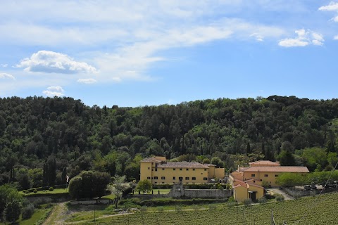 Istituto di Cristo Re Sommo Sacerdote