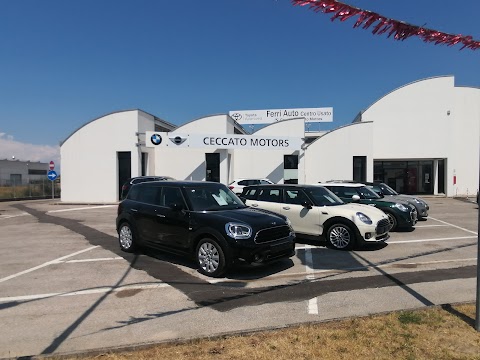 Ceccato Motors Musile di Piave Centro Service Assistenza - BMW MINI