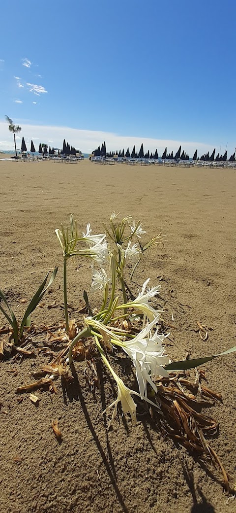 Blu Village 1, Marina Di Pisticci