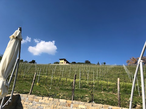 The house in the vineyard