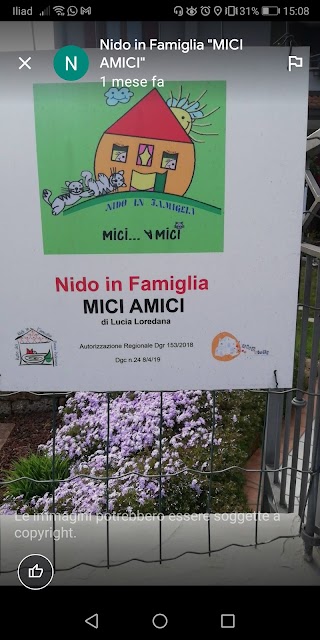 Nido in Famiglia "MICI AMICI"