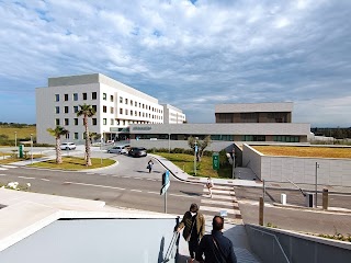 Pane dr. Francesco Humanitas Istituto Clinico Catanese