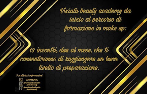 Viziata Beauty Academy