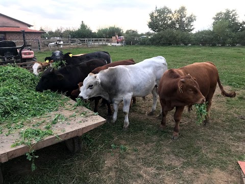 Agriturismo, Agripizzeria e Agrigelateria Il Giardino dei Sapori