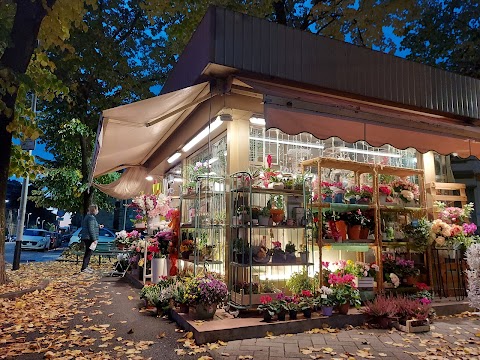 L'aiuola il chiosco di fiori