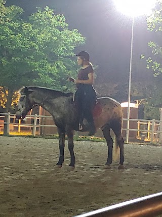 Centro Equestre - Il Primo Cavaliere