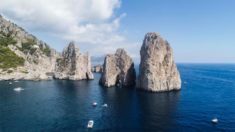 Sorrento Seadogs