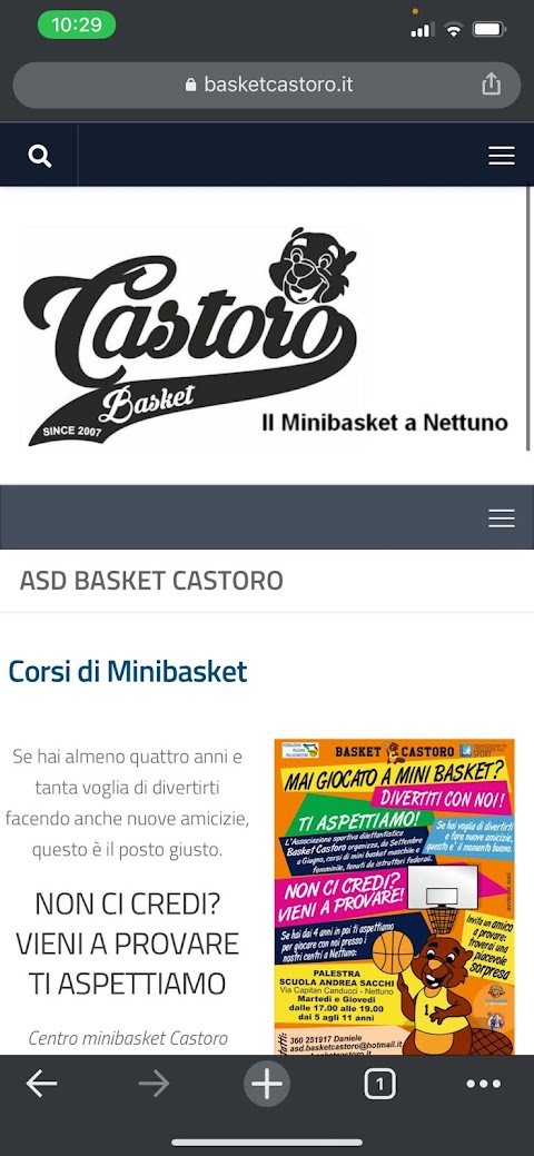 asd basket castoro