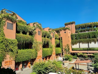 Scuola SIMO - Scuola Italiana di Medicina Olistica