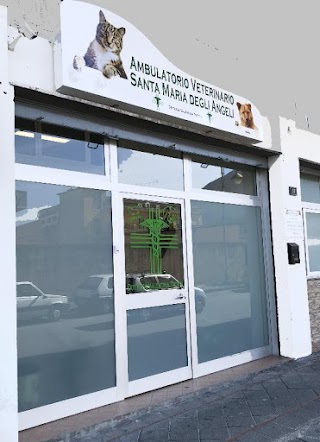 Ambulatorio Veterinario Santa Maria Degli Angeli