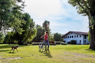 Agriturismo IL Bosco