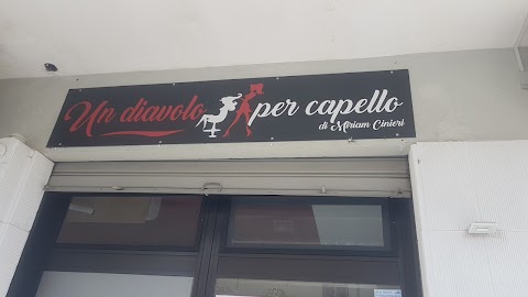 Miriam un diavolo per capello