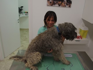 Studio Veterinario Dr.Vassallo Laura