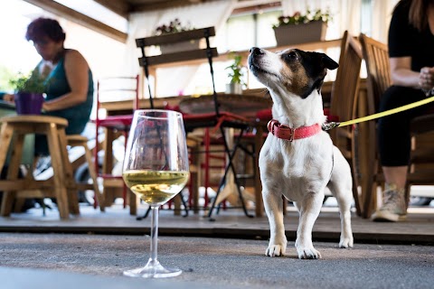 Il Giradischi - Enoteca, Wine Bar, Negozio di Dischi