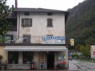 Pellizzari Rinaldo