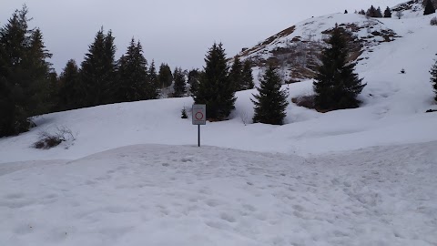 Strada silvo pastorale