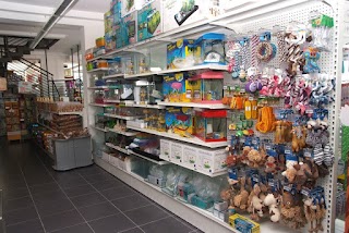 Dog & Cat Megastore