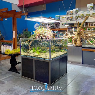 L'Aquarium Di Faberi Massimo