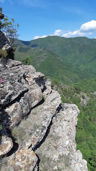 Foresta di Sant'Antonio