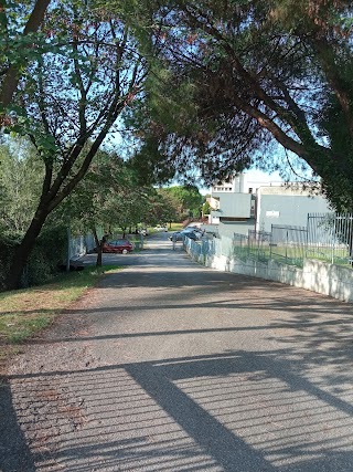 Scuola Secondaria di Primo Grado Antonio Pacinotti