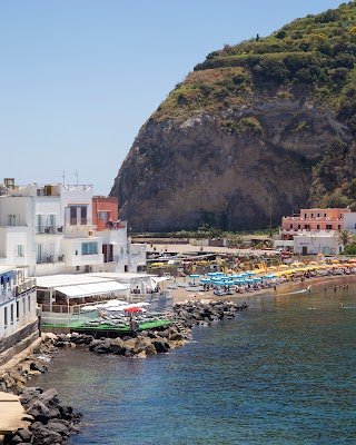 Ristorante La Conchiglia