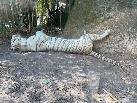 Bioparco di Roma