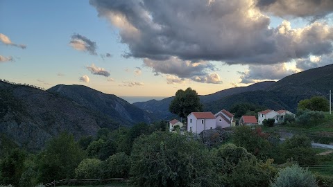 La casa della lucertola