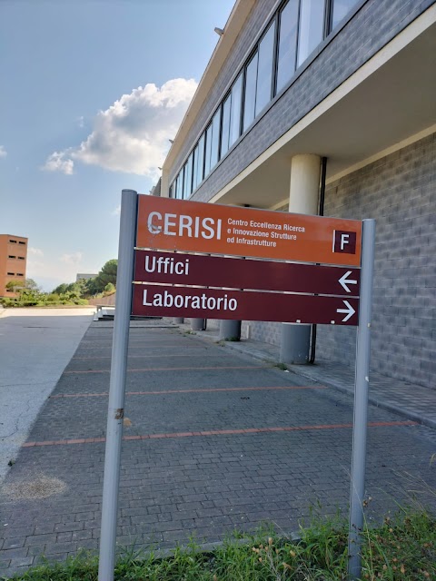 C.E.R.I.S.I. (Centro di Eccellenza, Ricerca, Innovazione, Strutture e Infrastrutture di Grandi Dimensioni)