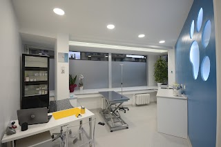 Clinica Veterinaria Firenze Sud - Pronto soccorso 24h