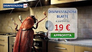 Disinfestazione