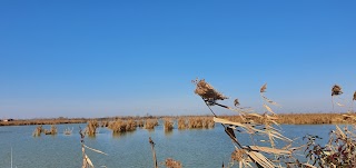 Oasi del Quadrone