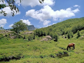 Capanne di Badignana