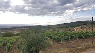 Impianto Sportivo Castellina in Chianti