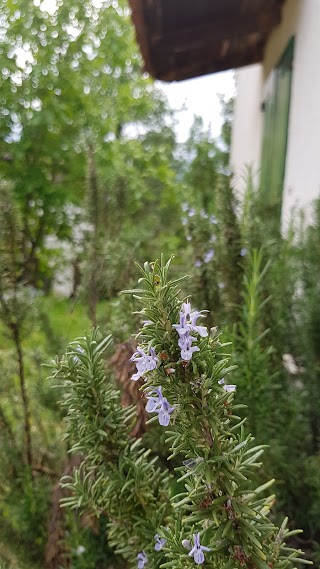 Agriturismo Fattorie Castelli