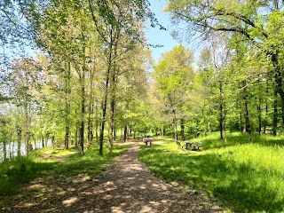 Bosco Sant'Anna