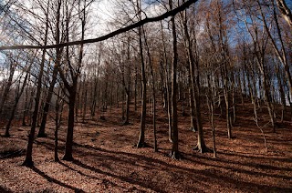 Parco Regionale Del Partenio