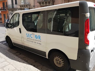 Sector impresa di pulizie