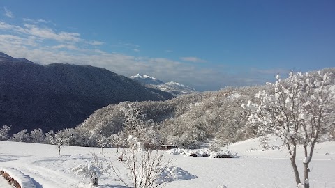 la pietra guide alpine