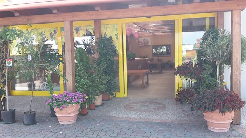 Azienda Agricola Floricoltura Di Pollon Emanuele