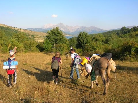 Agriturismo La Canestra - cucina tipica, fattoria didattica, camere