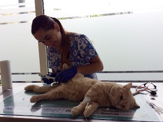 Studio Veterinario Alessia Oggiano