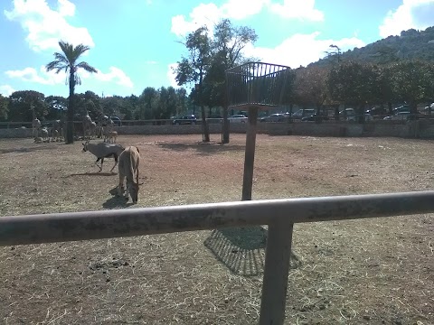 Parcheggio Zoo Safari Fasanolandia