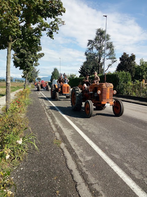 Termosolex di Montini Stefano