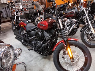 Harley Davidson Bari