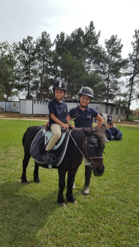 CIRCOLO IPPICO IL CILIEGIO - scuola di equitazione, Pony games, organizzazione compleanni a tema