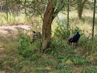 Ecoparco di Vezzano